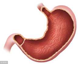 輕度萎縮性胃炎伴腸化可治好嗎？及早發現，及早治療