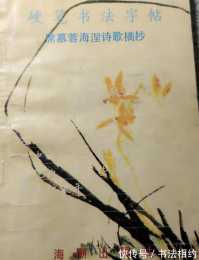 31年前盧中南吳玉生合編的硬筆書法真精彩，強強聯合，筆筆驚豔