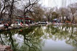 北京團結湖公園旅遊攻略