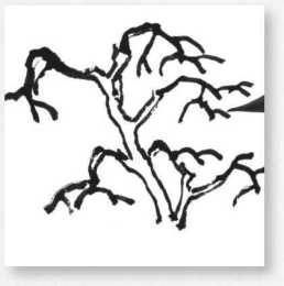 國畫知識：分步驟講解樹枝和樹葉的畫法，學會這些，畫國畫很簡單