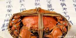 附庸風雅，巧食螃蟹的明朝人，他們的食蟹文化來了解一下！