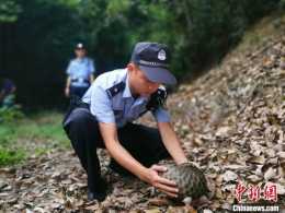 浙江開化：數字生態警務為野生動物撐起“保護傘”
