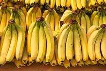 腸道的“推糞機”，香蕉不在內，建議：堅持吃4物，或能緩解便秘