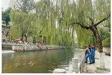 山東濟南排名第二的名泉，曾經是作為5A級旅遊景區，如今免費開放