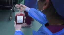 醫學科普：臍帶血為何頻頻成為救命的最佳選擇？