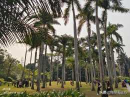 D18～熱帶植物園