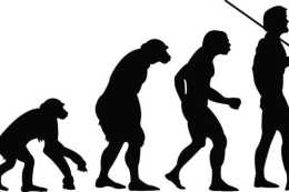 人類是大猩猩進化來的？科學家首次發現大猩猩表現出“領土性”