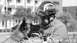 13年前，在汶川地震中救出15人的搜救犬“沈虎”，現在怎樣？