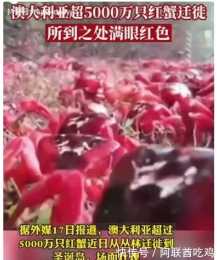澳洲5000萬隻紅蟹爬上街,這是什麼預兆?當地人為何不吃它們?