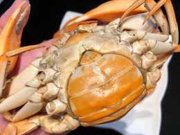 8月的廣東青蟹真是靚，蟹膏肥美正當時，清蒸幾隻嚐嚐鮮