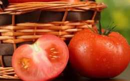 夏天喜歡生吃西紅柿？西紅柿到底是生吃好還是熟吃好？