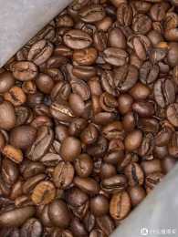 2023我要喝好咖啡——Lavazza意式醇香咖啡豆好喝嗎？